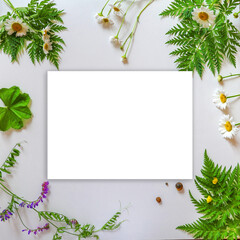 Summer mockup. A white sheet of paper next to wild plants and flowers