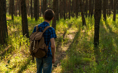 A young man in a blue plaid shirt and a backpack walks through the coniferous forest