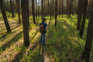 Obraz premium A young man in a blue plaid shirt and a backpack walks through the coniferous forest