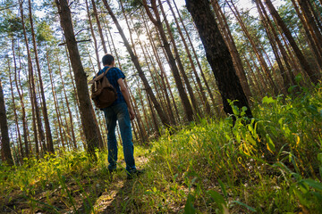 A young man in a blue plaid shirt and a backpack walks through the coniferous forest