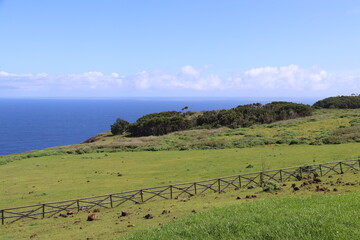 Prairie à Orongo, île de Pâques