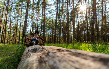 A digital camera with a backpack lies on a log in the coniferous forest