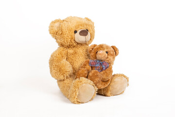 Teddy bear with little bear on white background.