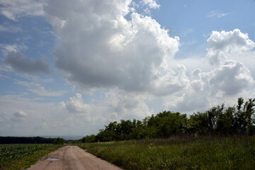 beautiful green field on the background of mountains and beautiful clouds