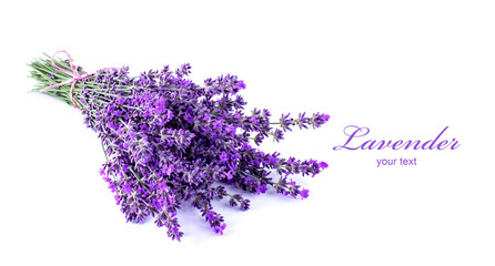 Lavender flowers on a white background. Lavender background. Place for text.