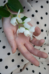 woman hands with flower