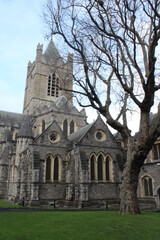 Fototapeta na wymiar Christ Church Cathedral, also known as The Cathedral of the Holy Trinity, in Dublin, Ireland, during the winter. 