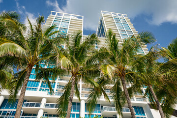 Fototapeta na wymiar Modern highrise condominium Miami Beach FL USA with palm trees