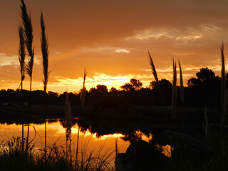Obraz premium sunset over the river