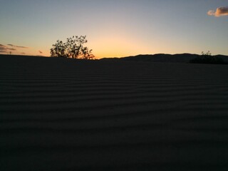 Sunset behind the sands of Mojave Desert, California.