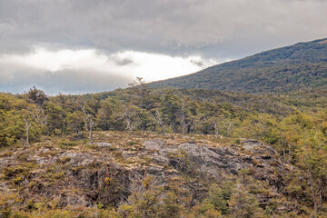 Argentina - beautiful views in the national park.