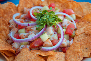 Ceviche