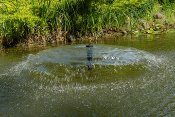Beautiful umbrella fountain in garden pond among evergreens and aquatic plants on stone shore. Close-up. Evergreen landscaped garden. Nature concept for design. Place for your text.