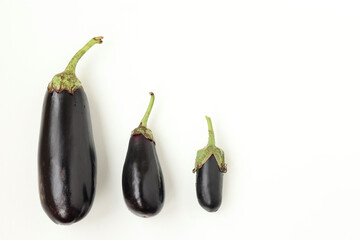 Three eggplant large to small on a white background, organic food concept, horizontal format, with place for text