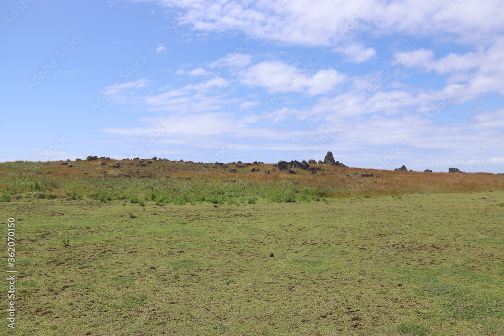 Poster Prairie à l'île de Pâques