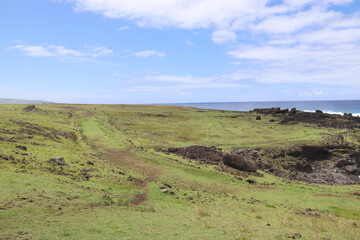 Prairie à l'île de Pâques