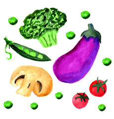 watercolor vegetables peas cauliflower eggplant