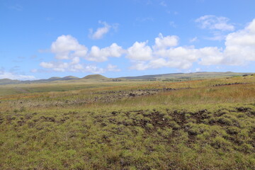 Prairie de l'île de Pâques