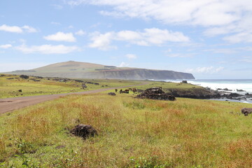 Route et prairie à l'île de Pâques