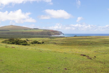 Prairie à l'île de Pâques