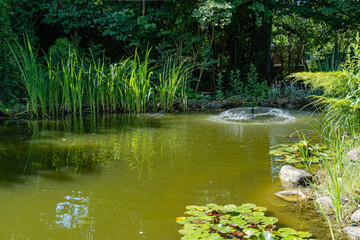 Beautiful umbrella fountain in garden pond among evergreens and aquatic plants on stone shore. Evergreen landscaped garden. Nature concept for design. Place for your text.