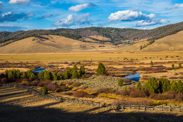 A split rail fence along the Beg Wood Riverand a large meadow with grazing cattle and late afternoon long shadows near Stanley, Idaho.