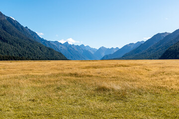 Road to Milford Sound in New Zealand.