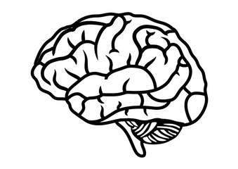 Laser cut Brain template