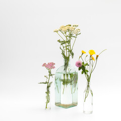 Wild field herbs in bottles of different shapes on a white-gray background as a decoration. Card