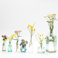 Wild field herbs in bottles of different shapes on a white-gray background as a decoration. Card