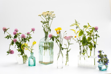 Wild field herbs in bottles of different shapes on a white-gray background as a decoration. Card