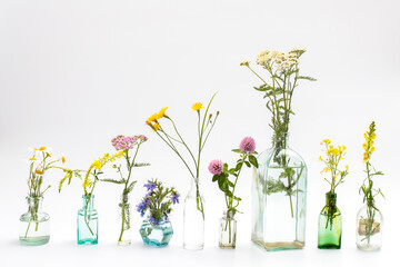 Wild field herbs in bottles of different shapes on a white-gray background as a decoration. Card