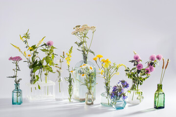 Wild field herbs in bottles of different shapes on a white-gray background as a decoration. Card