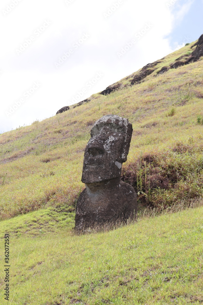 Poster Moaï du volcan Rano Raraku à l'île de Pâques	