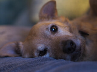 OLYMPUS DIGITAL CAMERA © Szymon