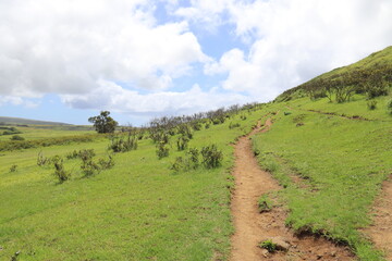 Prairie du volcan Rano Raraku à l'île de Pâques	
