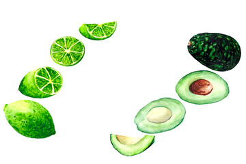 A collection of fresh and juicy fruits: lime and avocado from the whole fruit to small slices. Watercolor drawing for recipes, decorations on the theme of food and cuisine.
