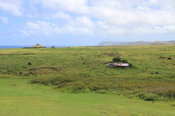 Prairie à l'île de Pâques