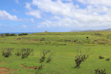 Prairie à l'île de Pâques