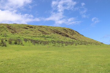 Prairie verdoyante devant le volcan Rano Raraku à l'île de Pâques