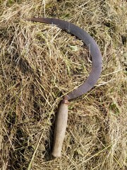 old rusty sickle on mown grass