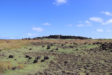 Lande volcanique à l'île de Pâques	