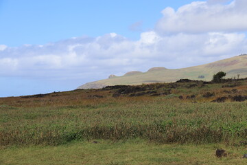 Obraz premium Prairie à l'île de Pâques 