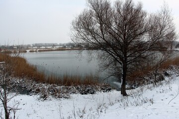 winter lake in the village