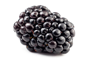 Blackberry macro image. Fresh sweet and ripe blackberry close up on white isolated background. Selective focused.