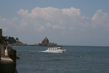Obraz premium cruise ship in the sea