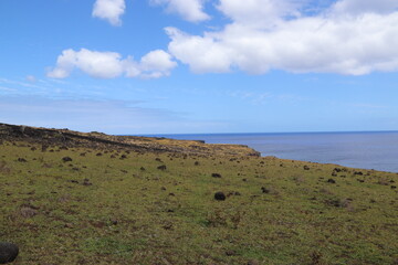 Lande à l'île de Pâques