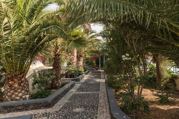 Fototapeta premium Stone walkway above which are palm trees.
