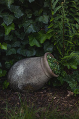 Obraz premium Decorative garden amphora in front of a lush hedge