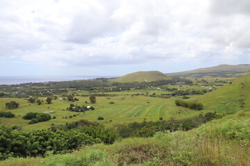 Champs et prairies à l'île de Pâques